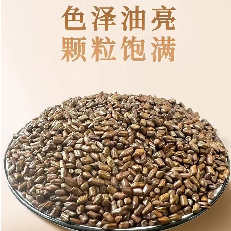 精选农家特产 决明子