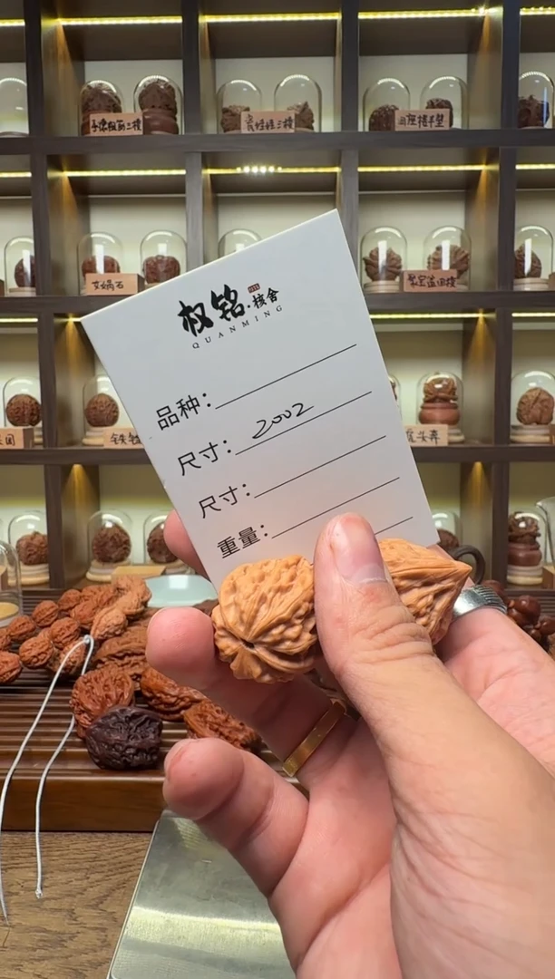 把件文玩核桃2002瓷瓶鸭嘴28.8