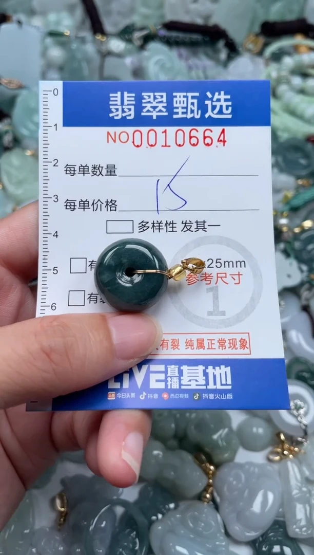 颈饰未镶嵌翡翠10664