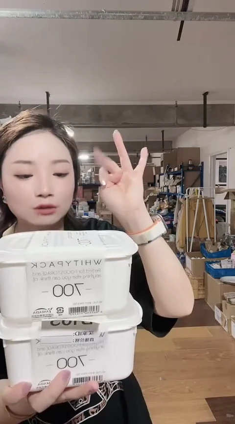 瓷片进口家用百货700ml保鲜盒两只B666