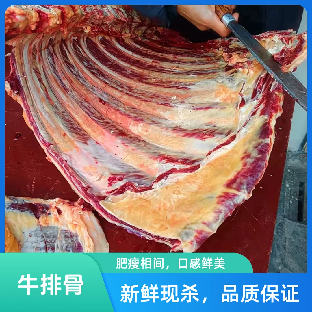 【牛排骨】 湘西小黄牛 农家土牛 现宰黄牛肉 新鲜牛排骨
