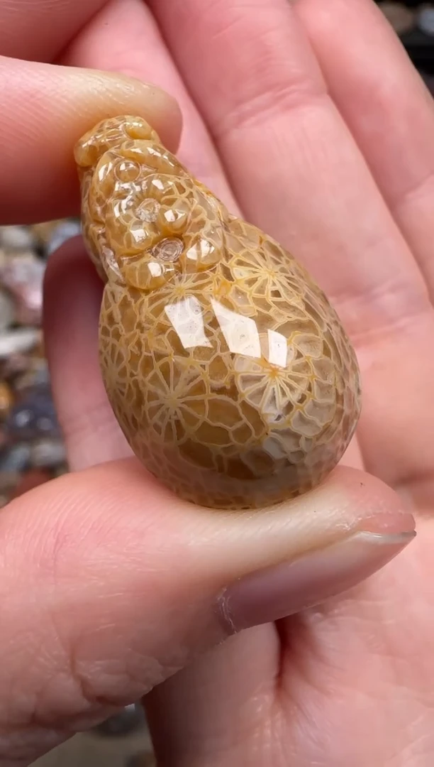 硅化珊瑚（珊瑚玉）未镶嵌颈饰567
