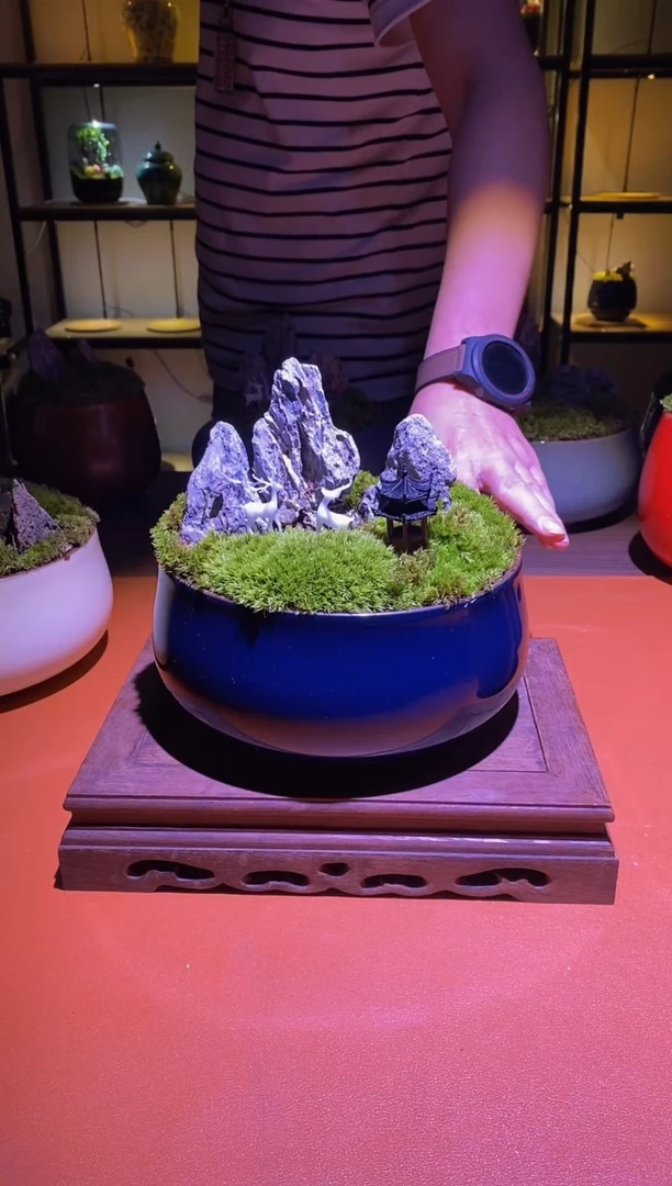 吉鑫福利精选福力