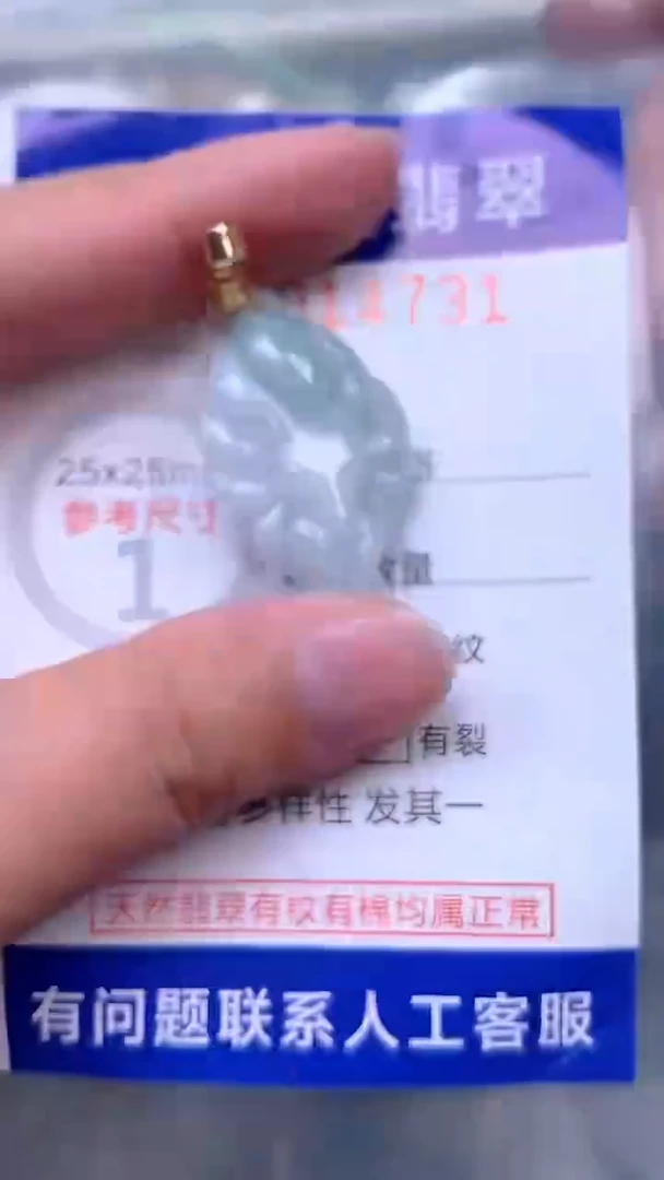 吊坠(赠链)未镶嵌翡翠1