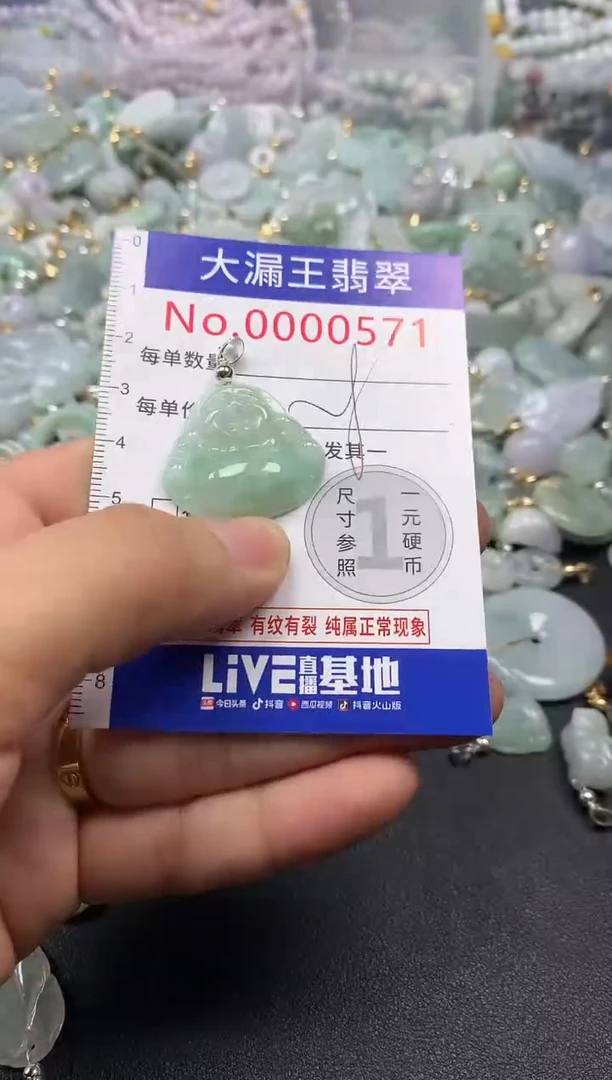 翡翠未镶嵌吊坠(不含链)571