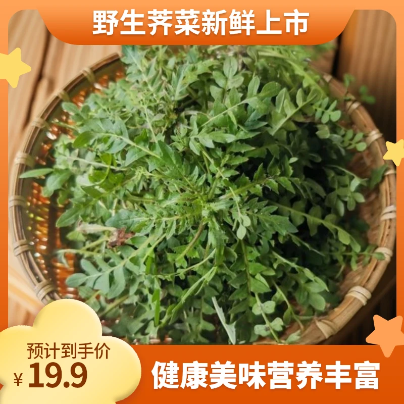 【新鲜荠菜 现挖现发】天然无污染新鲜野生荠菜营养丰富农场直供