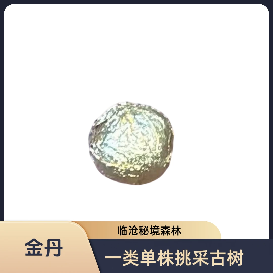 【金丹一类】云南普洱茶2026古树生茶手工龙珠