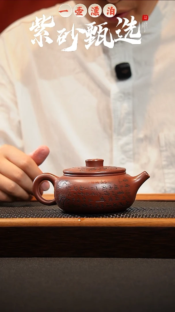 茶壶紫砂 一壶漂泊紫砂茶器2010