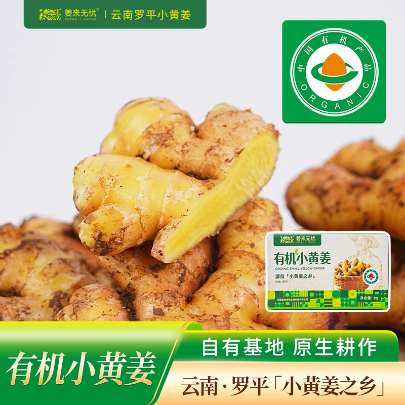 【云南特产】云南罗平有机小黄姜泥姜鲜姜月子姜农家云南正宗小黄姜