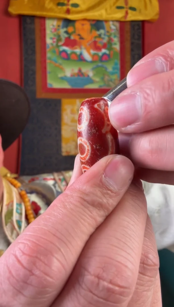 无非金属红肉八眼