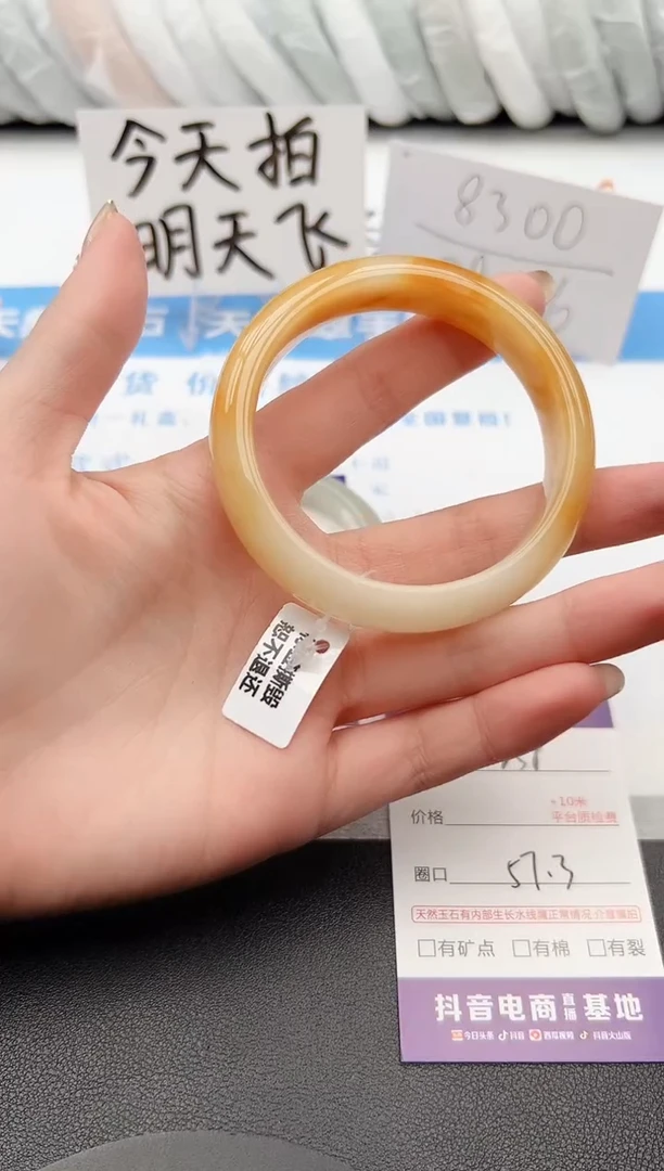 【闪购商品】石英质玉手镯未镶嵌j259-H