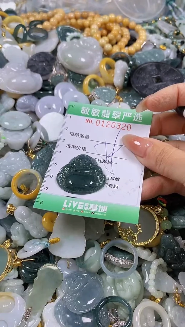 【闪购商品】翡翠颈饰未镶嵌闪购0120320