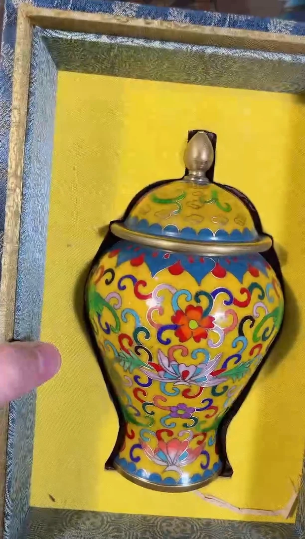 黄杨木1111111111111111111