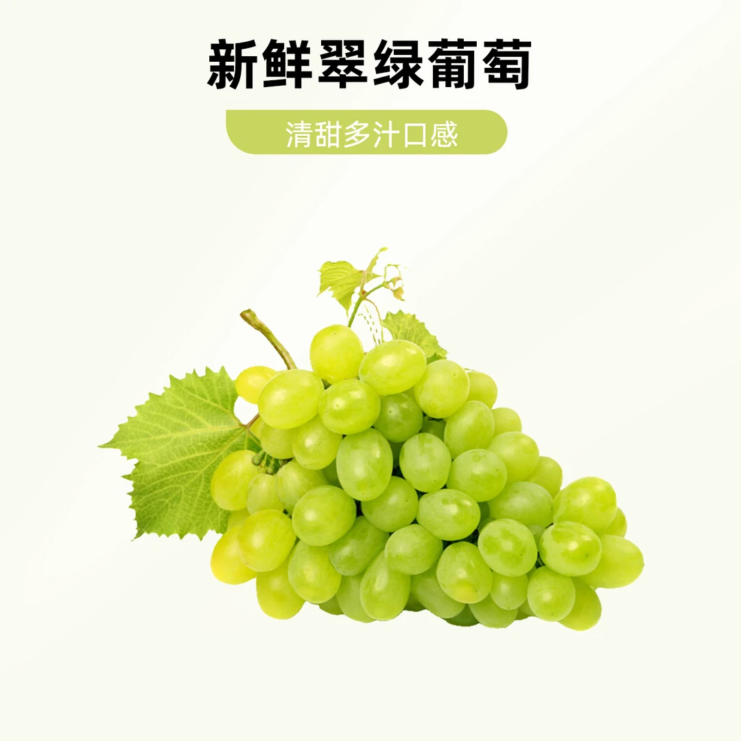新疆无核白葡萄无籽提子装新鲜当季水果香甜多汁坏果包赔新疆维吾尔自治区