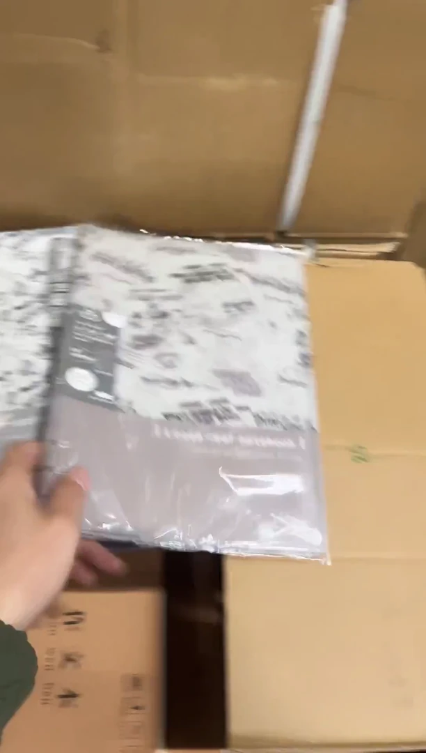 迪士尼b5横线活页本2本装