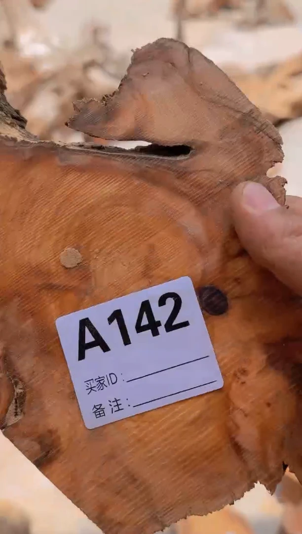柏木太行陈化崖柏一片142