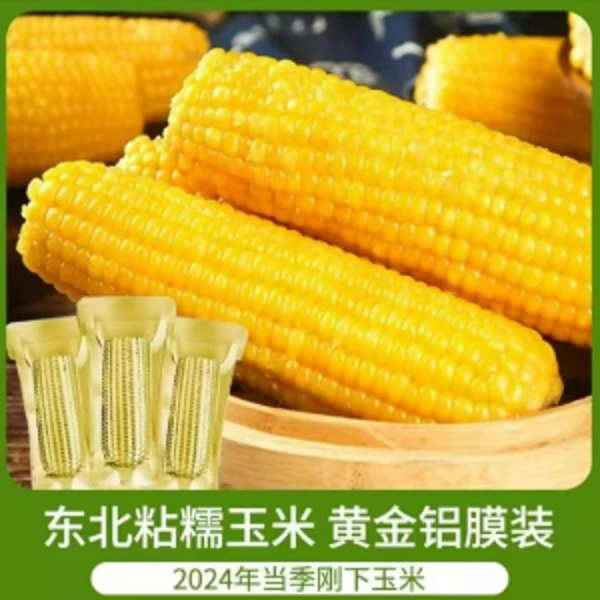 【试吃两个】24年东北黄糯玉米金铝箔装10+2根整箱6斤