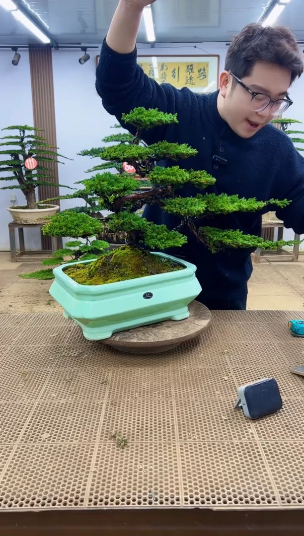 无花朵000000000000