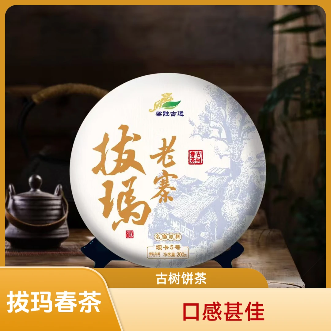 2024年南糯山（拔玛老寨古树春茶）森林茶200克饼茶