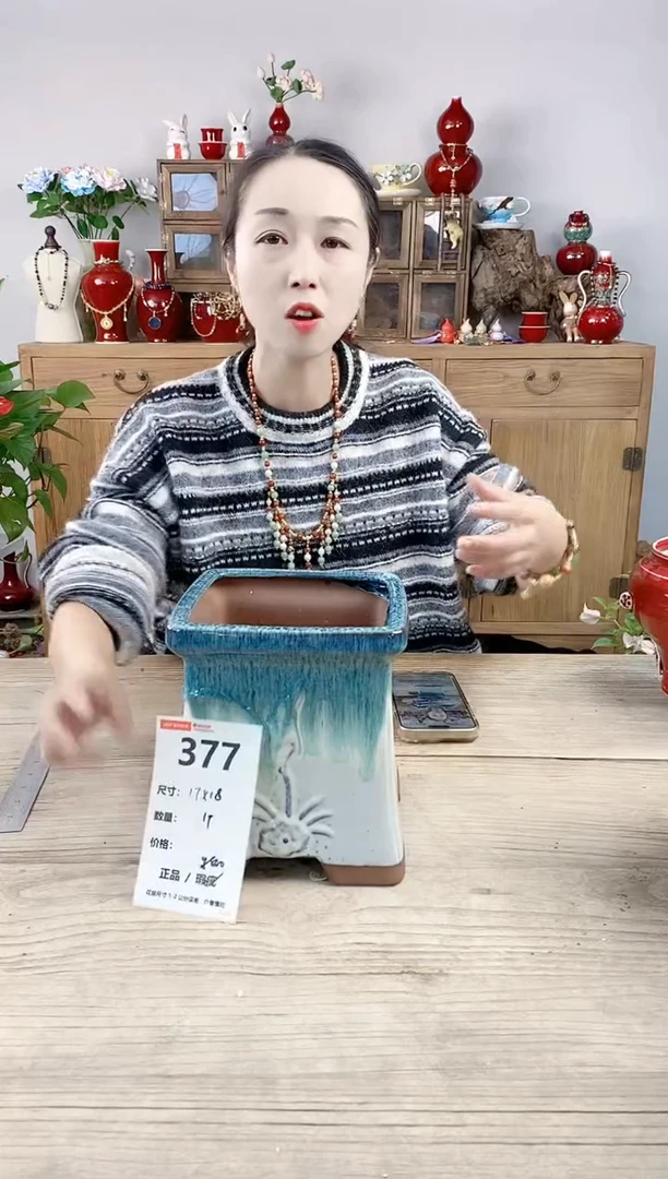 晴好园艺直播编号377