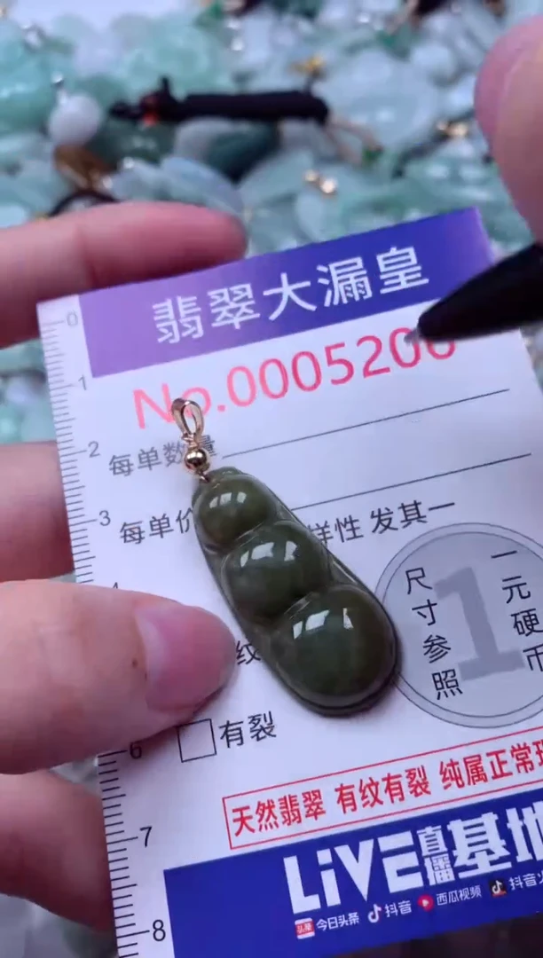 吊坠(不含链)未镶嵌翡翠5206