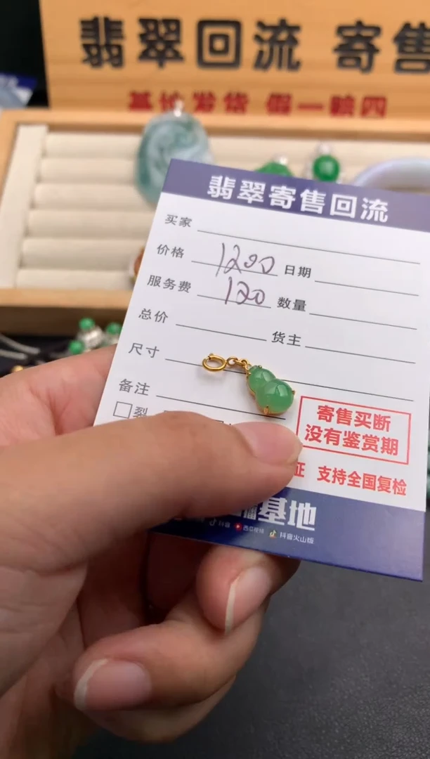 翡翠18K金镶嵌颈饰10139611