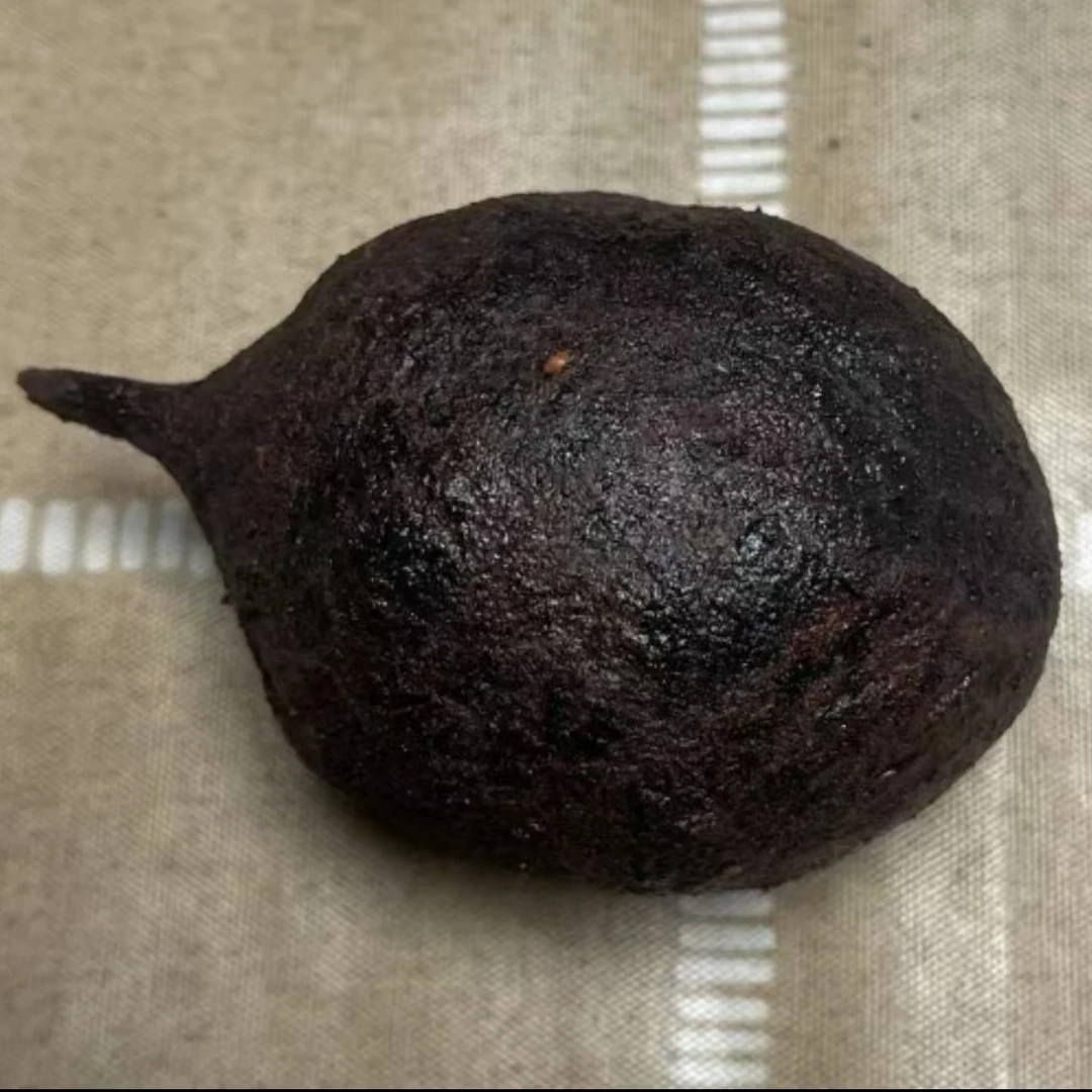 直播间现切果-风化菩提老果-可做脖挂-挂件-吊坠-穿好绳子发货