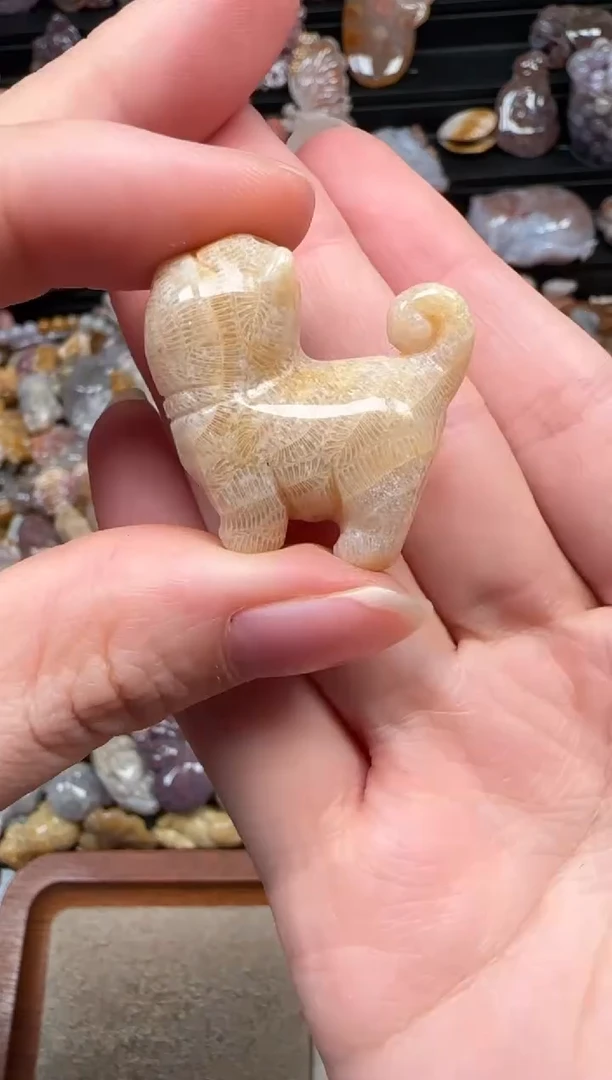 颈饰未镶嵌硅化珊瑚（珊瑚玉）774