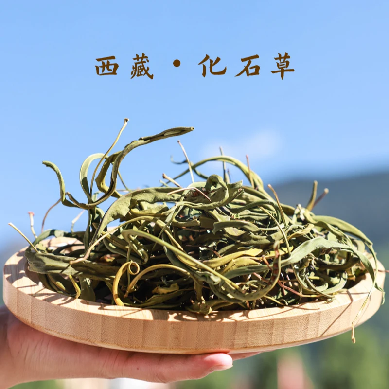 西藏高海拔化石草石韦草雪域高原生长手工采摘100g