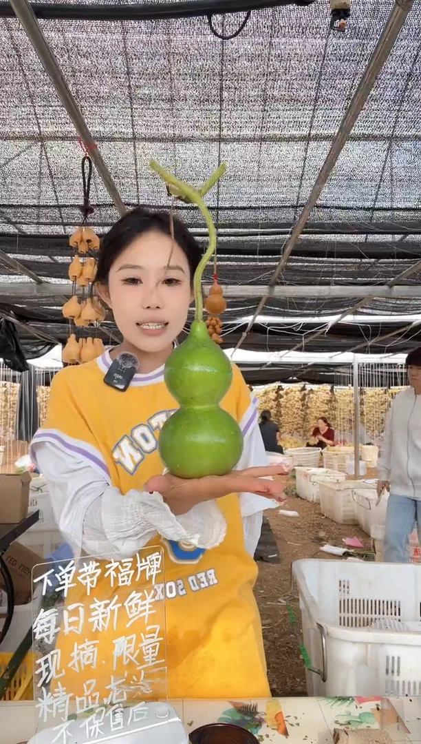 378天然葫芦摆件 一物一拍龙头不保售后