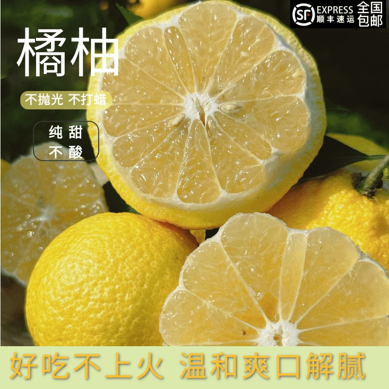 【正宗 象山青橘柚】桔柚春香甘甜爽口纯甜不酸包邮5斤