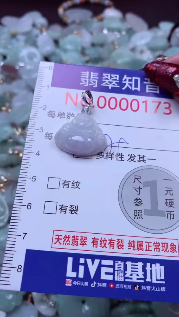 吊坠(不含链)未镶嵌翡翠173