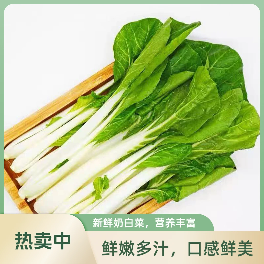 【自采】农家白飘儿菜娃娃菜