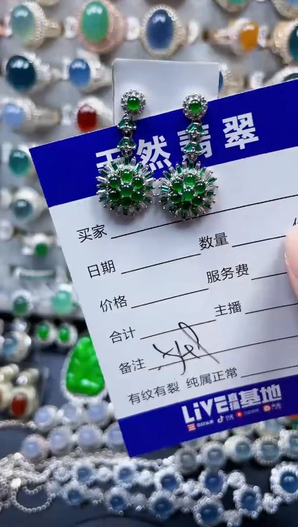 银S925镶嵌翡翠耳饰549