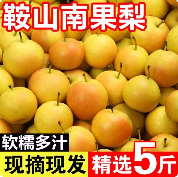 东北特产正宗鞍山南果梨原产地直发新鲜当季水果香水梨孕妇水果