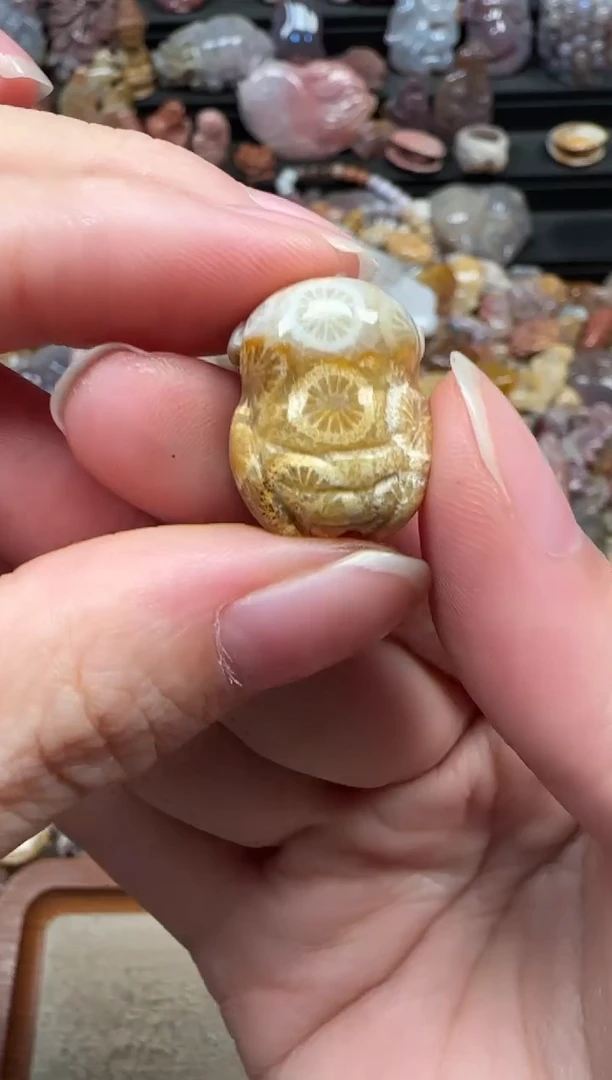 颈饰未镶嵌硅化珊瑚（珊瑚玉）753