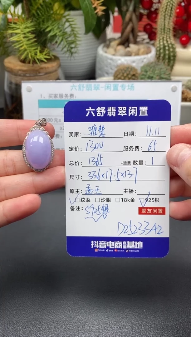 颈饰银S925镶嵌翡翠雅****）D2523342