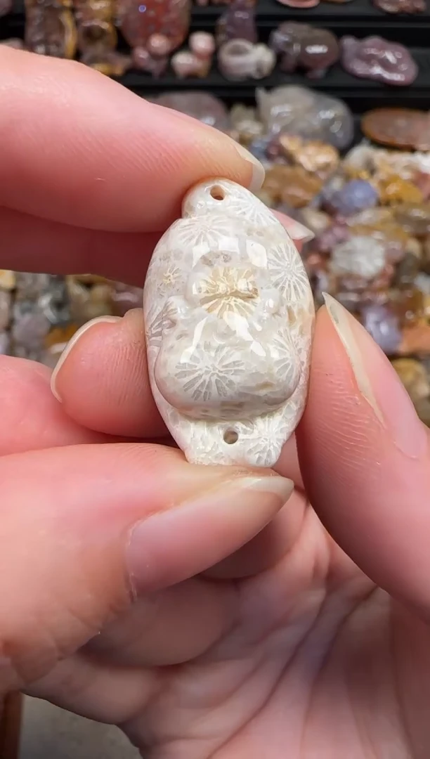 颈饰未镶嵌硅化珊瑚（珊瑚玉）312