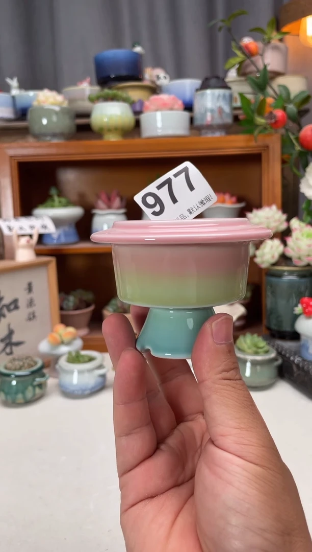 瓷片977知木小芳花盆
