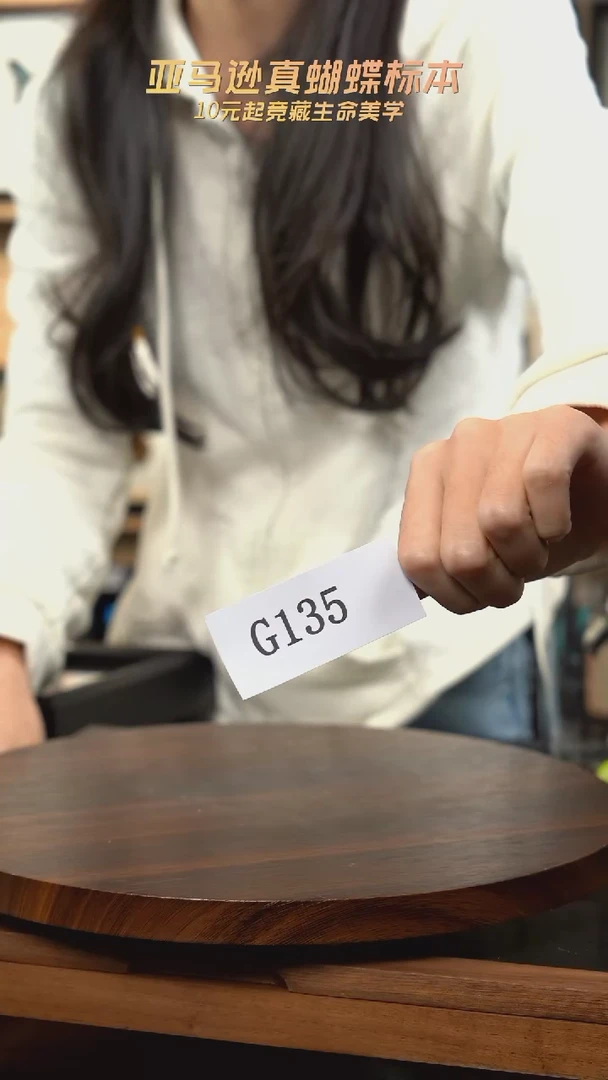 动物标本摆件竞拍g135