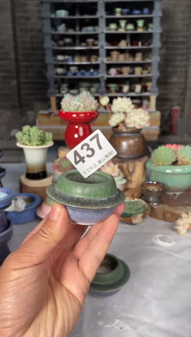瓷片437小芳直播编号