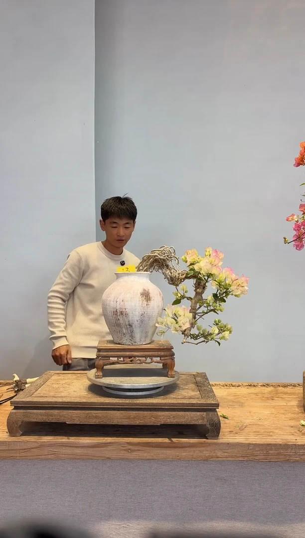 以实际为准博****馆三角梅13