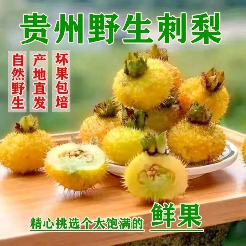 2025年鲜果贵州新鲜刺梨果脯原料刺梨泡酒泡茶榨汁VC现摘现发包邮