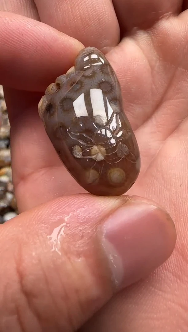 【闪购商品】硅化珊瑚（珊瑚玉）颈饰未镶嵌462