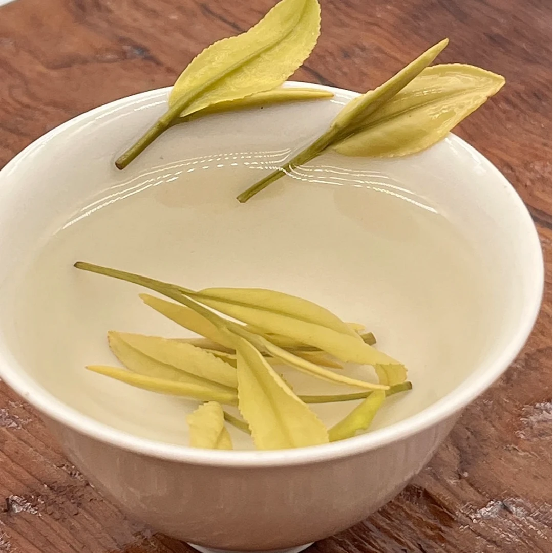 安吉【花果香】 白茶