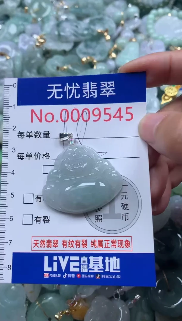 颈饰未镶嵌翡翠9545