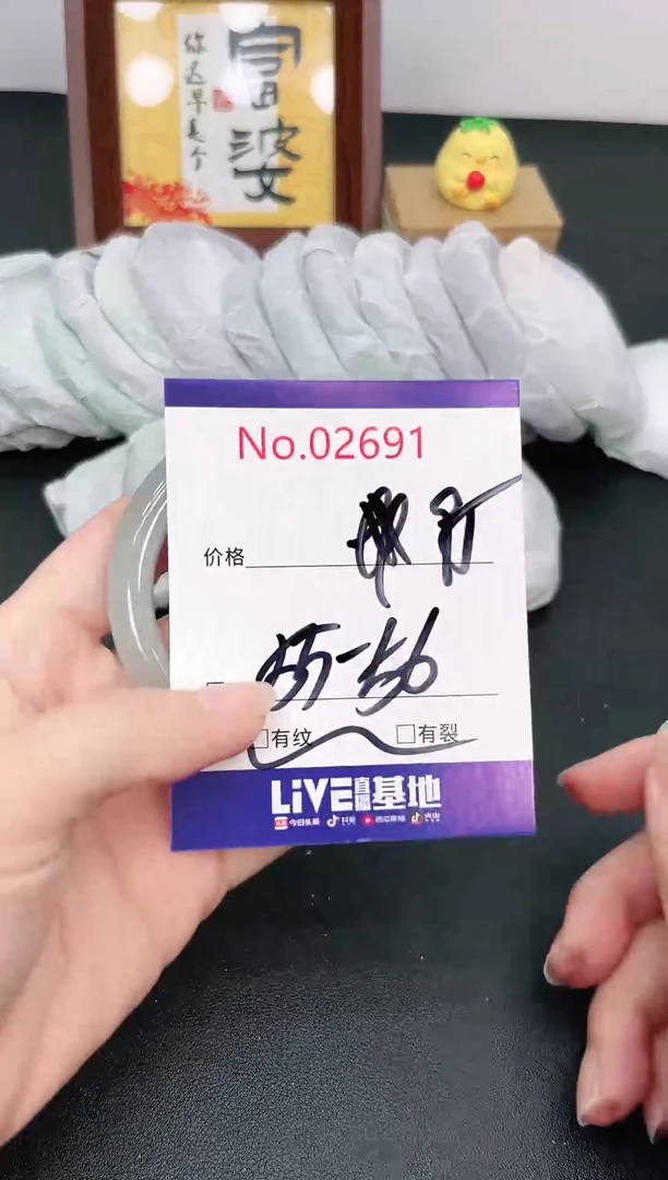 未镶嵌手镯翡翠2691