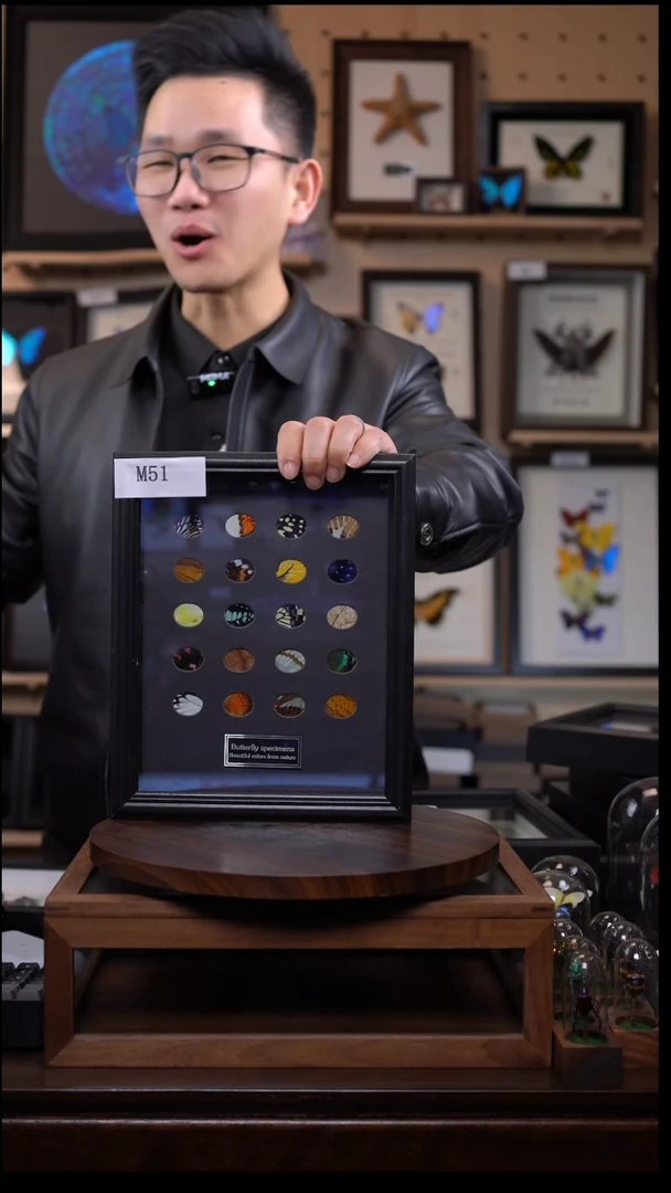 眼影盘大盘10寸竖M51