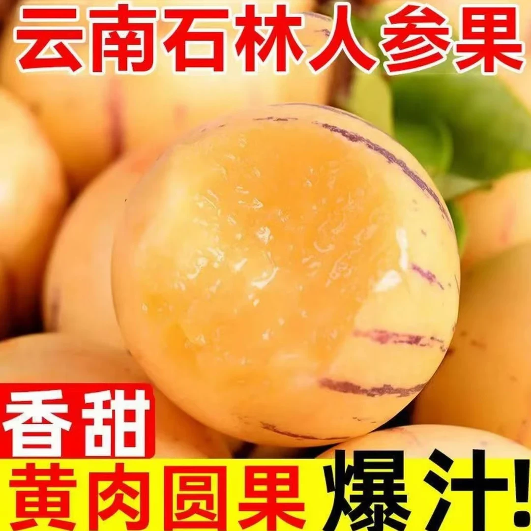 云南石林人参果新鲜现摘现发黄肉圆果清甜多汁当季水果