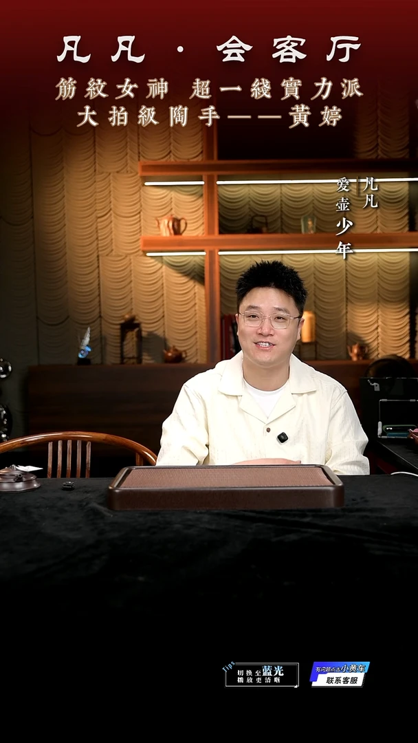 茶壶紫砂凡凡会客厅 紫砂壶 测试连接